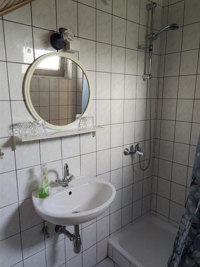 Guesthouse Mirko Hodak セリステ・ドゥレズニツコ エクステリア 写真