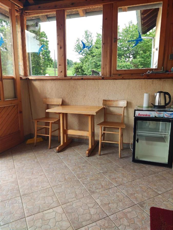 Guesthouse Mirko Hodak セリステ・ドゥレズニツコ エクステリア 写真