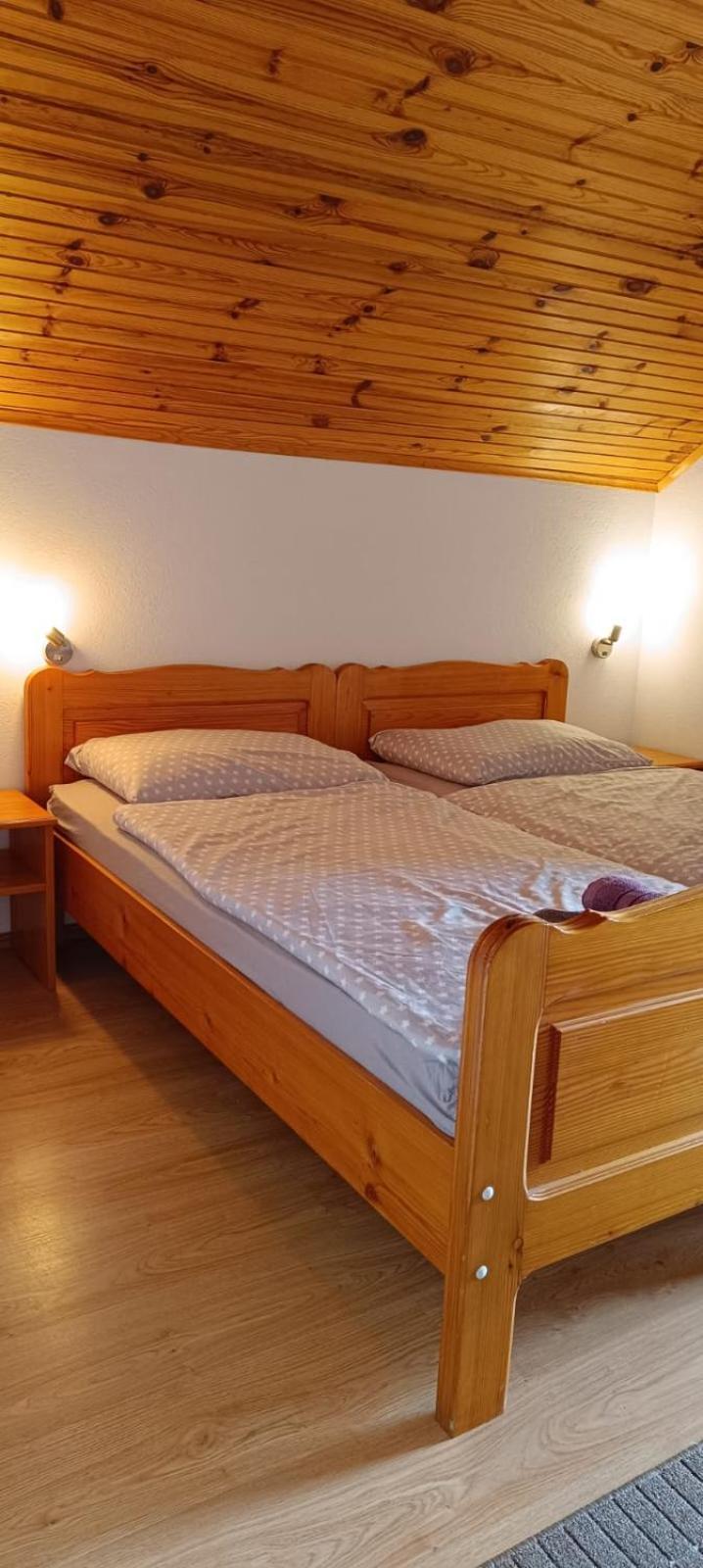 Guesthouse Mirko Hodak セリステ・ドゥレズニツコ エクステリア 写真