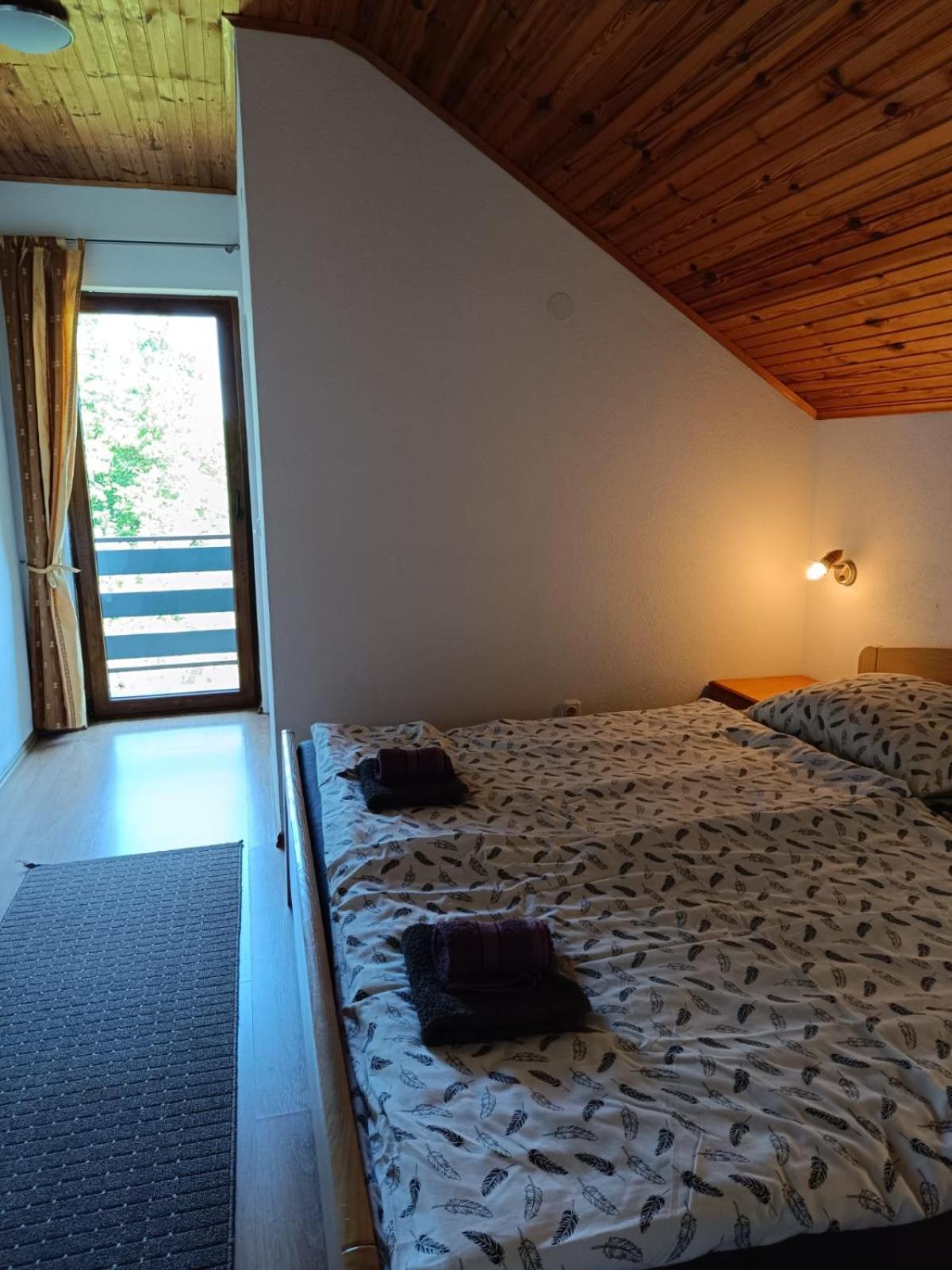 Guesthouse Mirko Hodak セリステ・ドゥレズニツコ エクステリア 写真