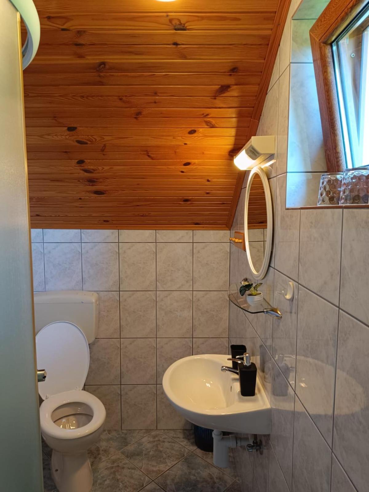 Guesthouse Mirko Hodak セリステ・ドゥレズニツコ エクステリア 写真